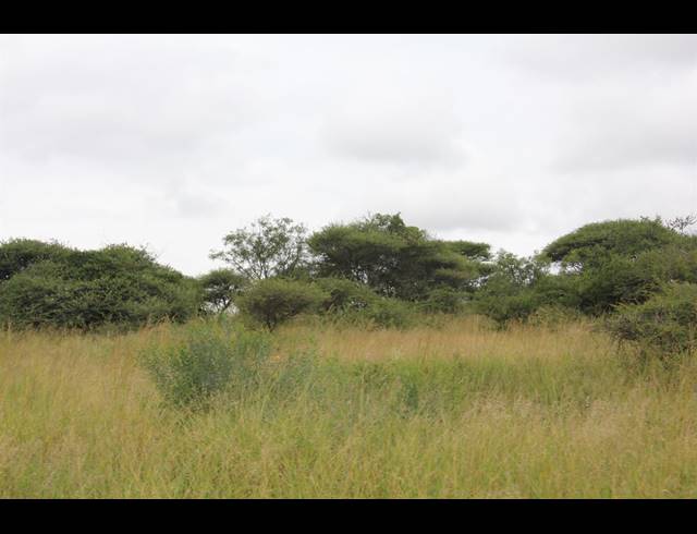 23HA VACANT LAND FOR SALE IN BENDOR